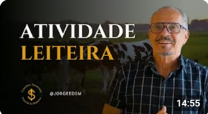Bora falar de dinheiro! -13- Atividade Leiteira